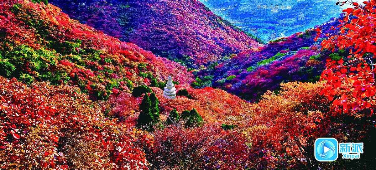 感可触” ——解码潍坊文旅融合新玩法AG真人试玩平台从“看山看水”到“可(图3) 感可触” ——解码潍坊文旅融合新玩法AG真人试玩平台从“看山看水”到“可(图3)